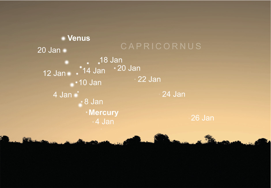 Mercury loops up above the western horizon reaching greatest elongation east on 14th January. Meanwhile, Venus is also rising up from the horizon, and the pair pass close-by during the first half of the month. AN graphic by Greg Smye-Rumsby.