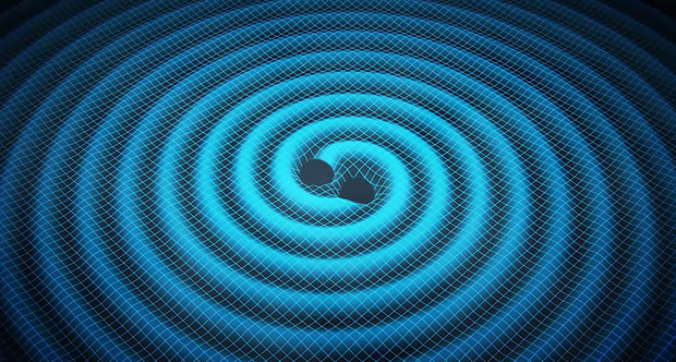 A diagram depicting two black holes spiralling inwards and emitting gravitational waves. Image: Swinburne Astronomy Productions.